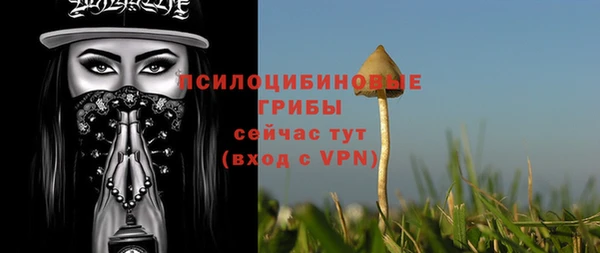 спайс Богородск