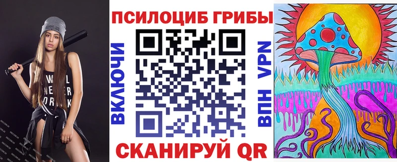 Псилоцибиновые грибы Psilocybe  купить  сайты  Богданович 