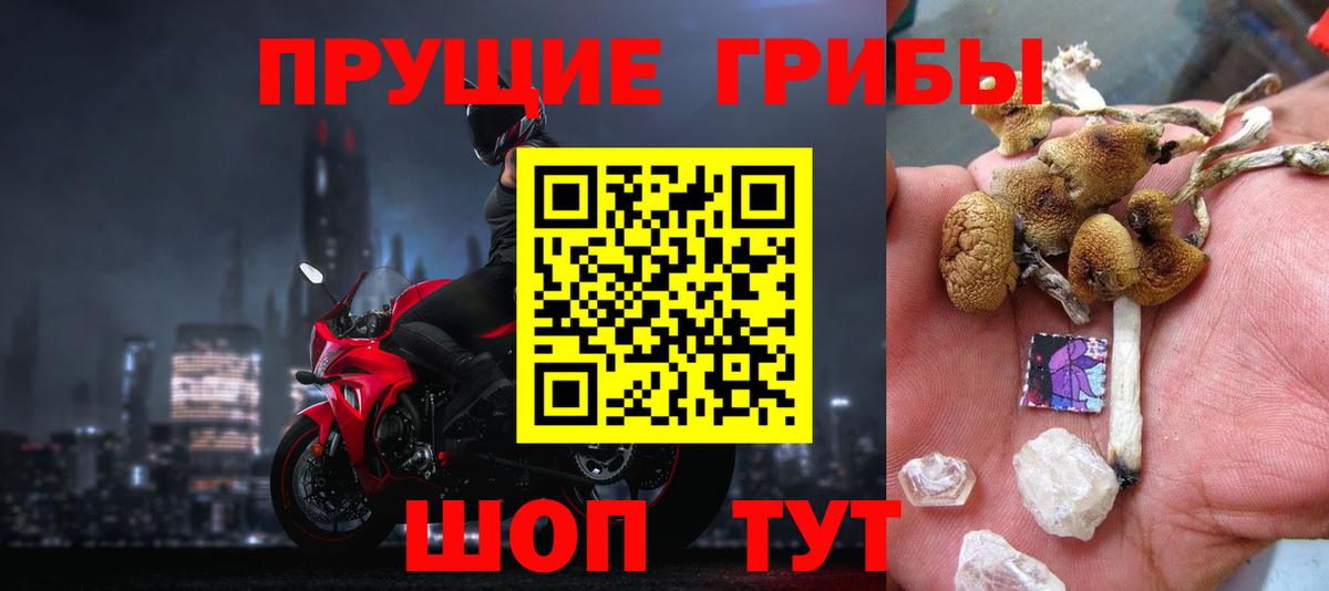 Псилоцибиновые грибы Psilocybe Богданович